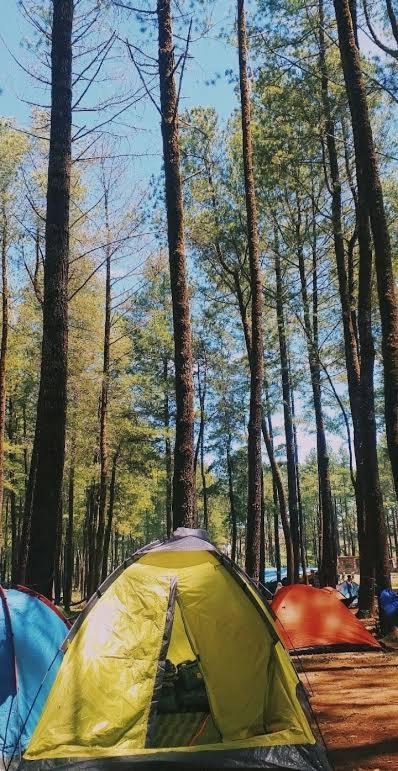Tapian Ratu Camp Real בוקיטינגי מראה חיצוני תמונה