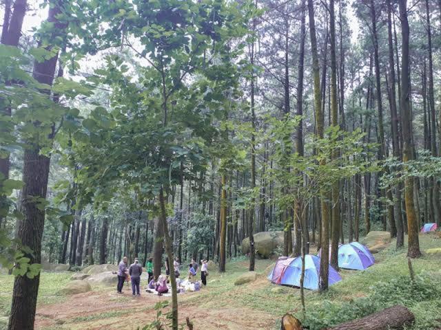 Tapian Ratu Camp Real בוקיטינגי מראה חיצוני תמונה